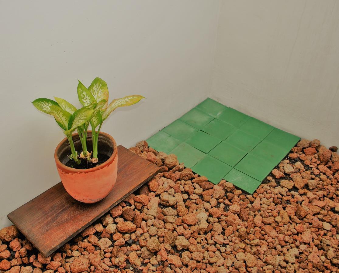 Casa Calala Aparthotel กรานาดา ภายนอก รูปภาพ